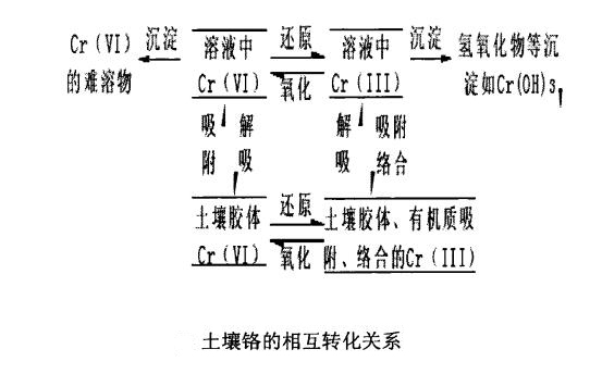 土壤中鉻污染的相互轉(zhuǎn)化